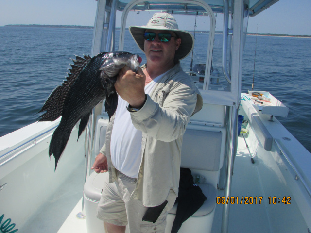 Block Island Sea Bass